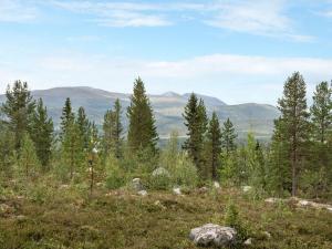- une vue depuis le sommet d'une colline plantée d'arbres dans l'établissement Chalet Lofsdalen Lavskrikan by Interhome, à Lofsdalen