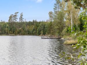 un quai sur un lac avec des arbres en arrière-plan dans l'établissement Holiday Home Bolhyttan - VMD230 by Interhome, à Filipstad