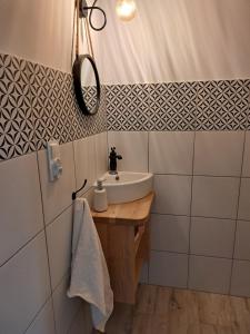 ein Bad mit einem Waschbecken und einem Spiegel in der Unterkunft Honey House in Gęsiniec