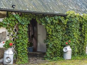 瑟爾沃斯堡的住宿－Holiday Home Västra Näs - B，常春藤覆盖的房屋入口,有两壶