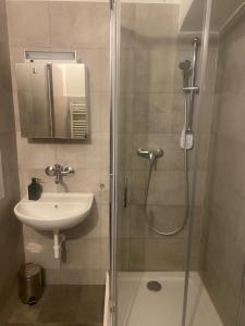 ein Bad mit einer Dusche und einem Waschbecken in der Unterkunft Černá růže - Apartmán 4 in Pilsen
