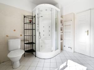 Kúpeľňa v ubytovaní Holiday Home Praskolesy by Interhome