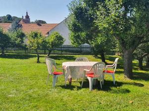 Vonkajšia záhrada v ubytovaní Holiday Home Praskolesy by Interhome