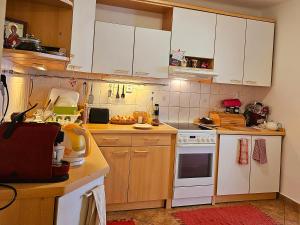 una cocina con armarios de madera y electrodomésticos blancos en Laxmi Happy Home in historical Prague, en Praga