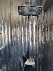 bagno con doccia, lavandino e specchio di L'Orangerie a Strasburgo