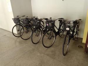 在Sun Hotel内部或周边骑自行车