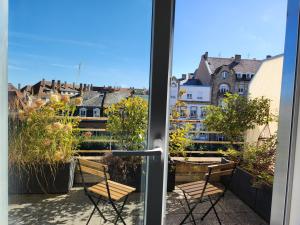d'un balcon avec des chaises et une vue sur la ville. dans l'établissement L'Orangerie, à Strasbourg