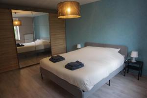 Postel nebo postele na pokoji v ubytování L'Aubach - appartement spacieux - au pied du vignoble - parking gratuit