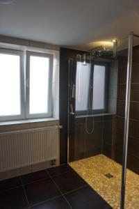 a bathroom with a shower with a glass door at L'Aubach - appartement spacieux in Scherwiller