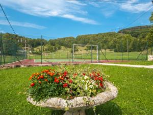 Vonkajšia záhrada v ubytovaní Chalet Lana by Interhome