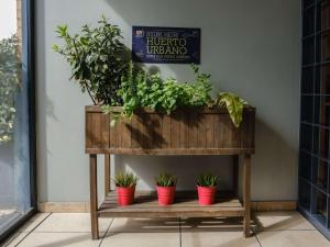a plant stand with four potted plants on it at Ibis Madrid Alcorcon Tresaguas in Alcorcón