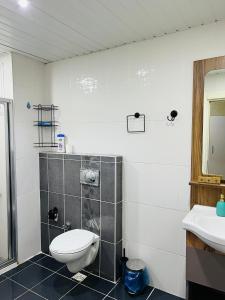 La salle de bains est pourvue de toilettes et d'un lavabo. dans l'établissement aria plus ev-otel, à Çiftlikköy
