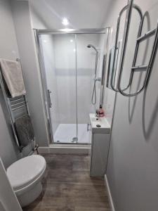 a white bathroom with a shower and a toilet at 1B Smart Apartments in Newark-on-Trent