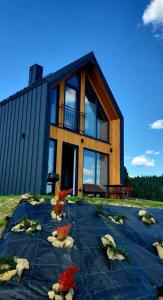 a house with a lot of windows and flowers in front of it at Bocheniówka in Nowy Targ