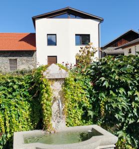 un jardín con una fuente de agua frente a un edificio en Haus am Brunnen en Prato allo Stelvio