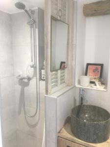 a bathroom with a sink and a shower at Les Vignals in Arphy