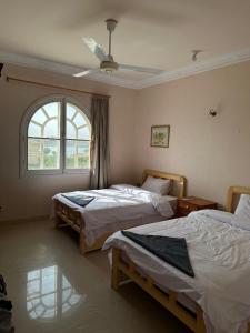 a bedroom with two beds and a window at Comfy Apartments in Harmony House - Nile View in Luxor