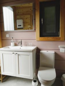 a bathroom with a white sink and a toilet at les lodges finlandais de la tortue permacole fine dentelle in Champclause