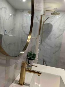 ダンケルクにあるLe Cosy Dunkerquoisのバスルーム(鏡付き洗面台、植物付) +27枚の写真