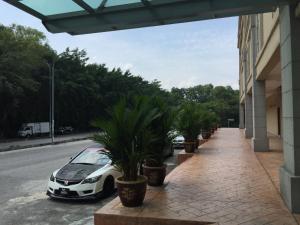 汝来汝来阿顿酒店的棕榈树建筑旁的白色汽车
