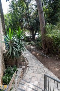 a garden with a stone walkway next to a tree at Eshkol Housing Haifa-Disraeli Urban & Business boutique Apartments complex in Haifa