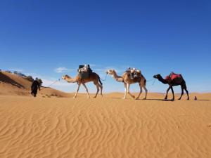 Gambar di galeri bagi Erg Chigaga Camp Tours di El Gouera +20 gambar