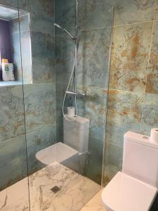 a bathroom with a glass shower with a toilet at Fam de Vida in Gratallops