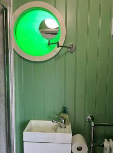 a green bathroom with a mirror above a toilet at Ted's Shed in Bishop Auckland