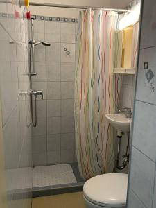 La salle de bains est pourvue d'une douche, de toilettes et d'un lavabo. dans l'établissement Apartment 1080, à Vienne