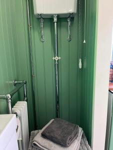 Baño verde con lavabo y toalla en Ted's Shed en Bishop Auckland