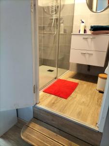 y baño con ducha y alfombra roja. en Au Grand Chêne Jolie T3 à 5 min d'Albi, en Puygouzon-et-Montsalvy