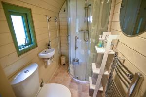 uma casa de banho com um chuveiro, um WC e um lavatório. em Pendragon Pod em Axminster