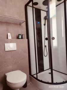 een badkamer met een douche, een toilet en een wastafel bij SalzinnesChezSoi in Namen
