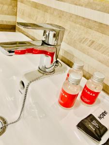 a bathroom sink with two bottles of red liquid at Apartamentos Pintor Losada in Córdoba
