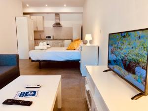 sala de estar con TV de pantalla plana grande en Apartamentos Pintor Losada en Córdoba