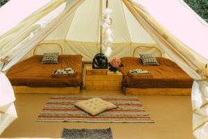 Ruang duduk di Inthanon Mountain Camp