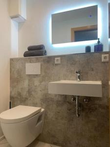 een badkamer met een toilet, een wastafel en een spiegel bij Auszeit am Gehrenberg in Markdorf