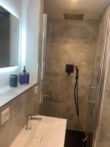 een badkamer met een douche, een wastafel en een douche bij Auszeit am Gehrenberg in Markdorf