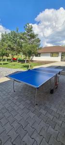 的住宿－Casa Valea Lupului，砖砌庭院里的一张蓝色乒乓球桌