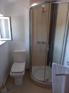 y baño con ducha, aseo y lavamanos. en Cottage Abrunheiro Grande, en Vila de Rei