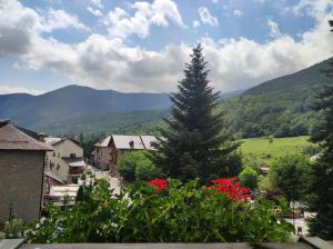 a pine tree in the middle of a village at Hotel Saurat in Espot