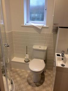 a bathroom with a white toilet and a sink at Chy Bownder Cottage in Lostwithiel