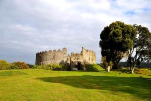 an old castle on a green field with a tree at Chy Bownder Cottage in Lostwithiel