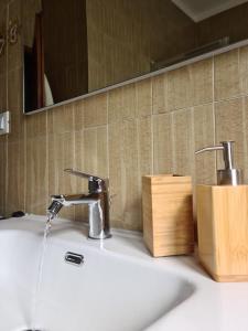a bathroom sink with two faucets and a mirror at Apartament Cedro del Libano in Marano