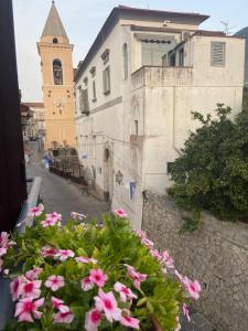 Ein Haufen rosa Blumen auf einem Balkon mit Kirche in der Unterkunft Il Borgo in Sant'Egidio del Monte Albino