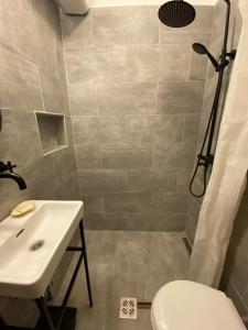 y baño con ducha, aseo y lavamanos. en Charming apartment in the heart of Gellért area., en Budapest
