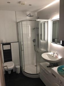 a bathroom with a shower and a toilet and a sink at 3Zimmerwohnung mit 58m2 und gutem Internet in Neumarkt in der Oberpfalz