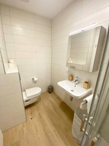 La salle de bains est pourvue de toilettes, d'un lavabo et d'un miroir. dans l'établissement Luxury 2023 Flat in city center with Parking-HOL1, à Luxembourg