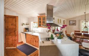 HelberskovにあるAmazing Home In Hadsund With 3 Bedrooms, Sauna And Wifiのキッチン(シンク、コンロ付) 上部オーブン