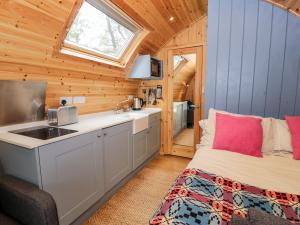a kitchen with a bed and a sink in a room at Conwy Pod in Llanrwst
